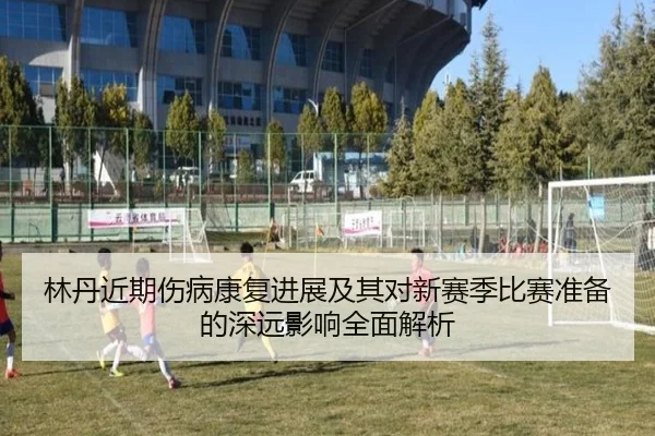 林丹近期伤病康复进展及其对新赛季比赛准备的深远影响全面解析